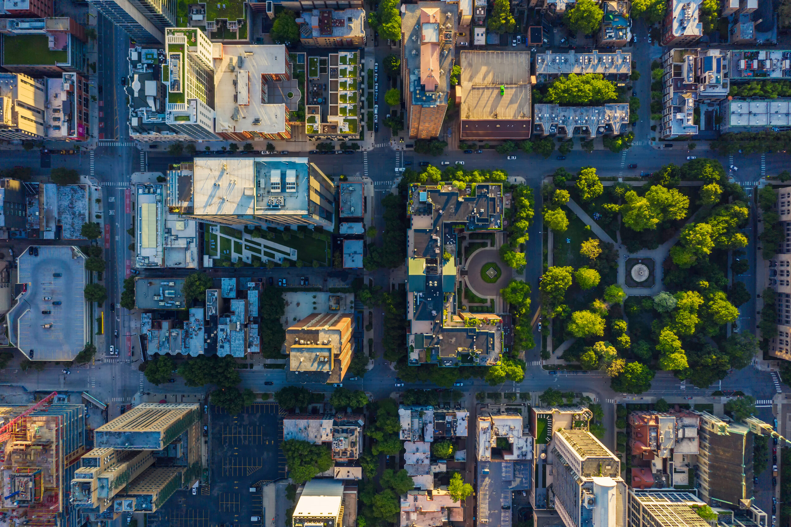 Beyond Green: Community Participation towards Resilient Urban Nature