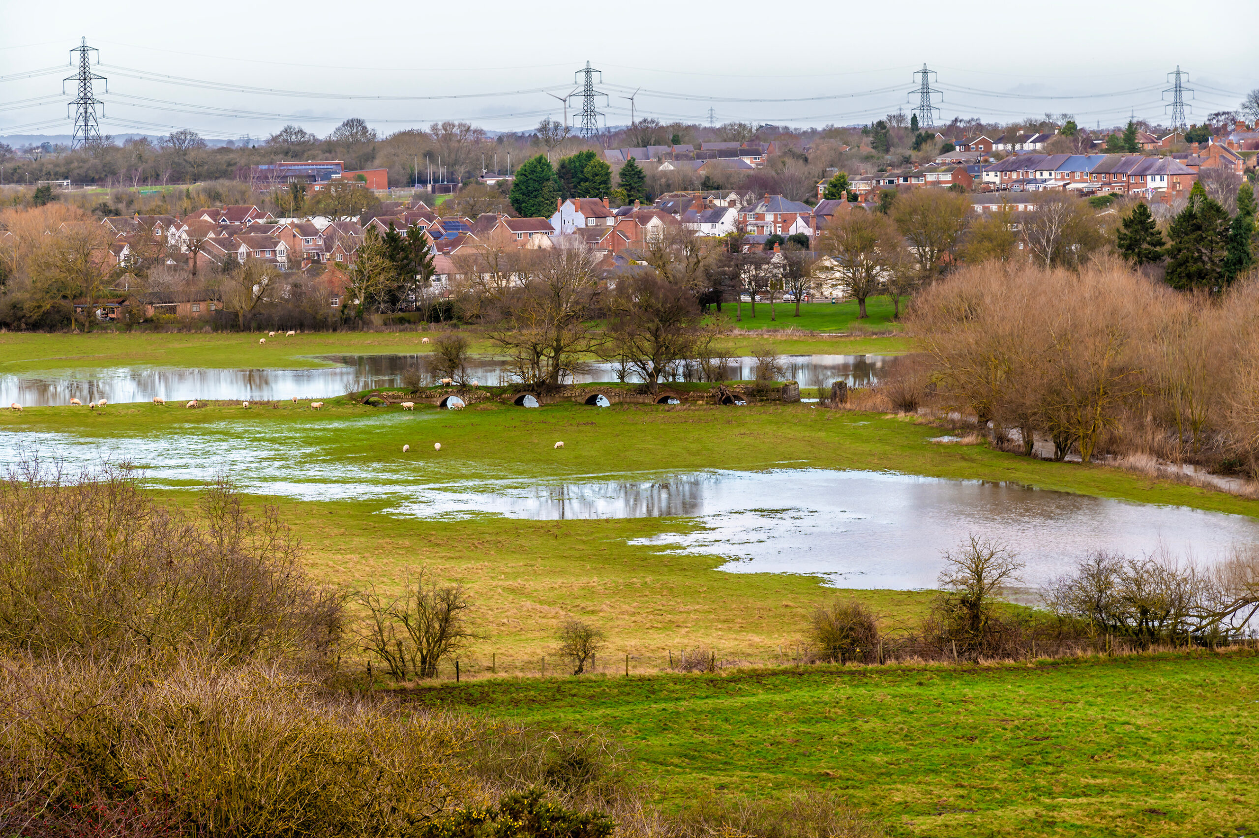 Effective Community Leadership in Flood-Affected Areas: Understanding and Enhancing the Role of Flood Wardens in Leicestershire and Rutland