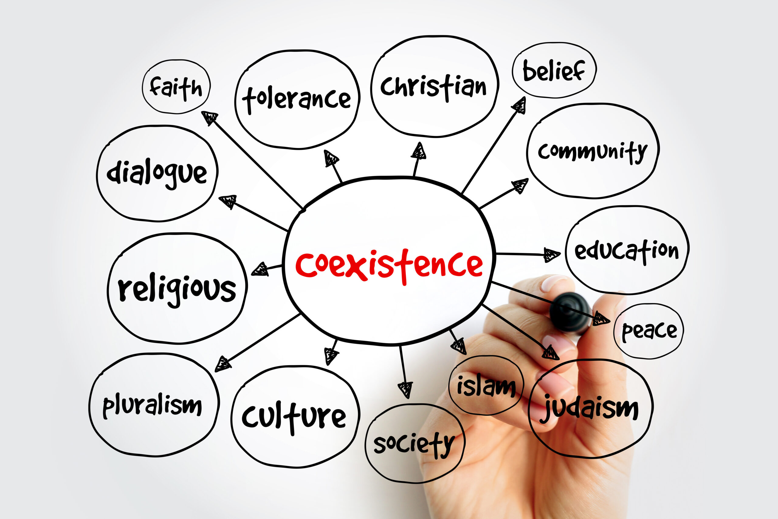 Children’s engagement with religions and worldviews in Leicestershire schools: The role of interfaith educational programmes in supporting trust and belonging